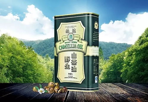 东旭大别山金寨山茶油：一斤多少钱？揭秘全国山茶油价格走势