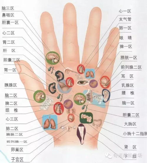 水稻纹枯病的田间表现症状解析