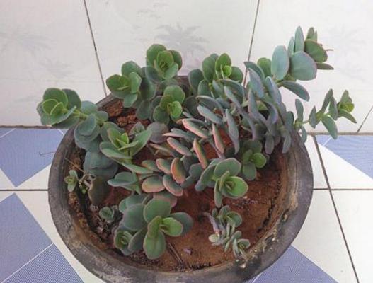 室外过冬的防护措施