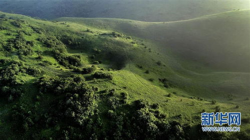 雪莲：防晒小嫩手
