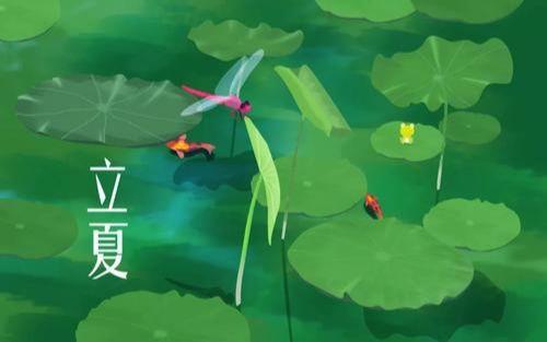 立夏时节，海南椰子因气候宜人而俏销全国