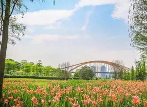 寻花问柳， 园艺街道办事处藏匿于自然画卷之中