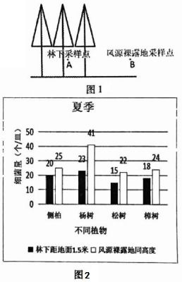 生态优先：景观设计的灵魂