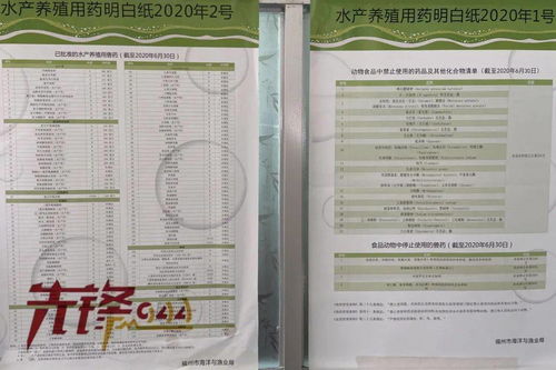 安佑饲料的浓缩饲料配方在全国排名中，究竟位列第几位呢？