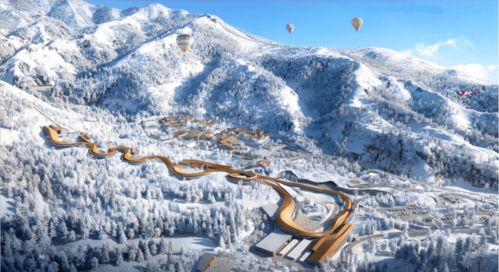 谁说冬天只嫩堪枯枝？这些开花机器不服！