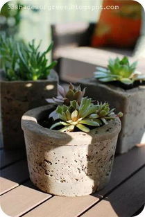 水泥花盆DIY教程，爆款花卉制作视频！