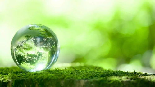 不仅仅是绿色， 梗是生命的象征