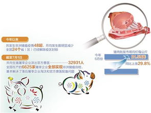 猪皮肤病防控技术升级，绿色养殖新篇章