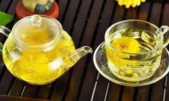 喝中药期间，可以同时喝菊花茶吗
