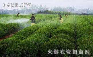 使用农药，得讲究方法！