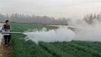 注意风向，避免药液飘散