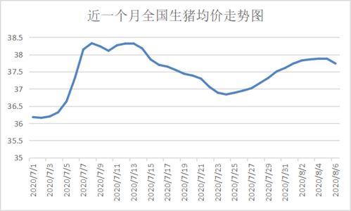 2026年1月份猪价预测准确吗？2026年猪价行情预测会是怎样的走势？