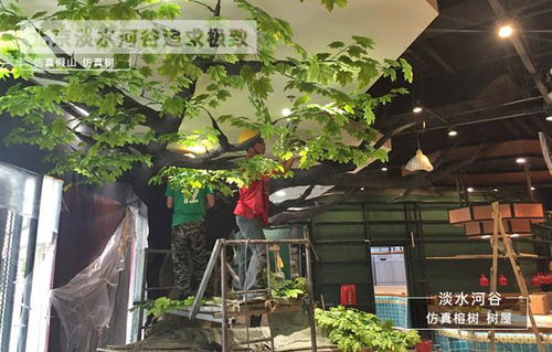 主景树的神秘魅力