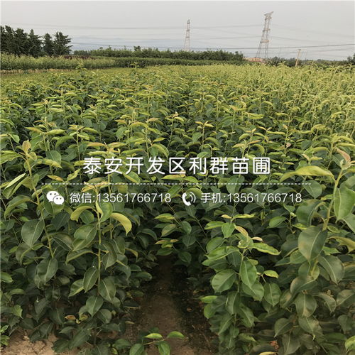 多家比价， 找到心仪的价格