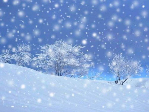 雪花飘落的歌曲