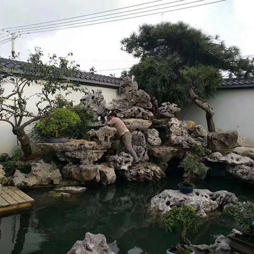 1. 庭院小水池：大自然的缩影