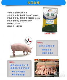 哺乳母猪4预混料配方中，母猪饲料中钙磷比例如何调整以促进骨骼健康？