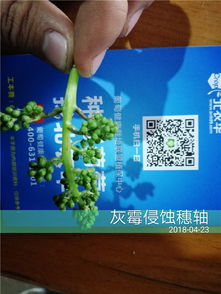 三、用药，得抓住时机