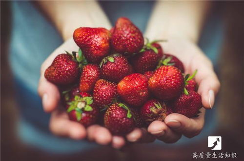 农药成分对人体健康的影响