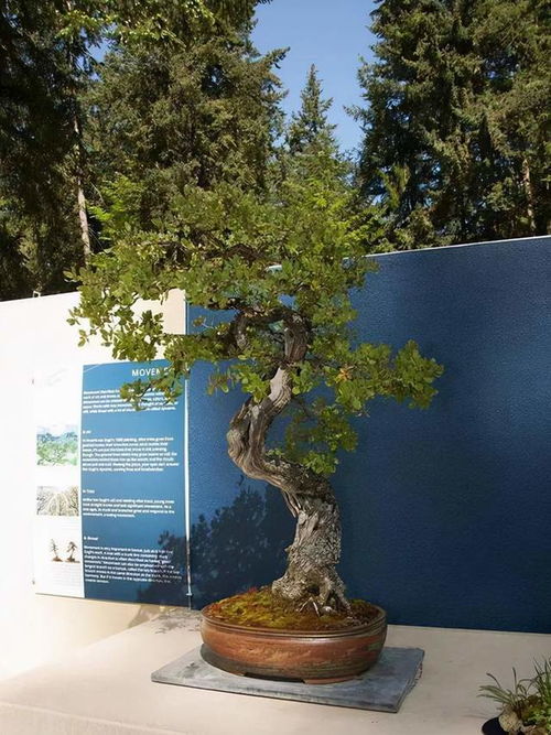 浇水，我有我的方法