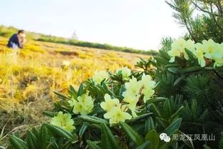 夏日花园里的清凉时光