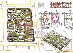 打造高效油茶林地：精准规划与精细整理的秘诀！