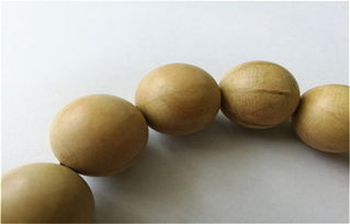 购买降龙木手串的注意事项