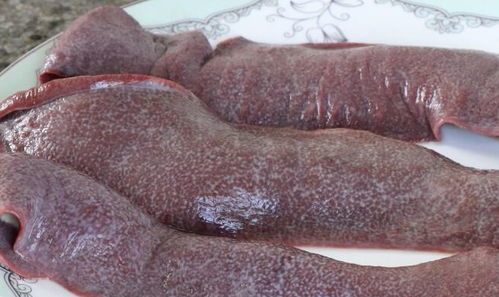 仔猪全身铁锈斑，这是怎么回事？