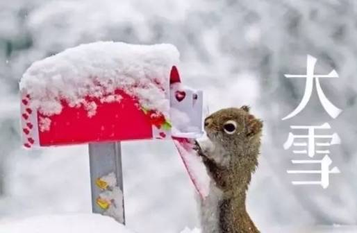 选对品种是关键