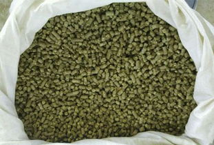 饲料霉变如何检测？羊霉中毒有哪些症状及治疗方法？