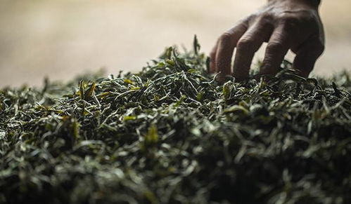 人体健康会受影响吗？我咋感觉肚子有点不舒服呢？