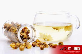 蜂蜜菊花茶能一起泡水喝吗？这样搭配营养更丰富
