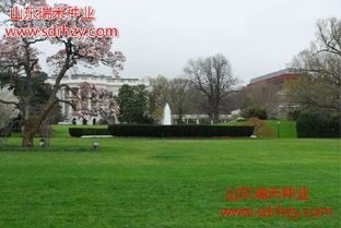 种植指南：均匀撒播， 避免踩踏