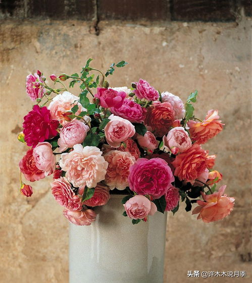 环境调整：通风、 光照