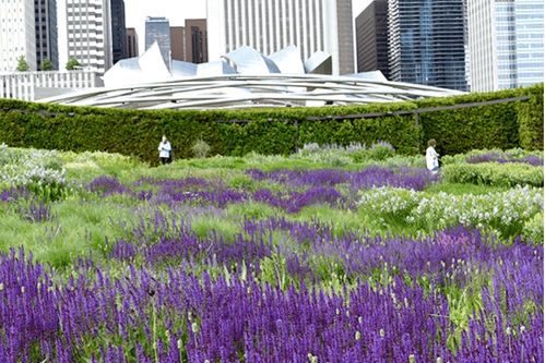 校园种植案例分享