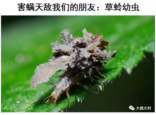 不对症，没有任何作用