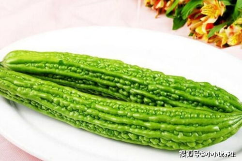 苦瓜苗尖断裂后的再生潜力与生长细长之谜