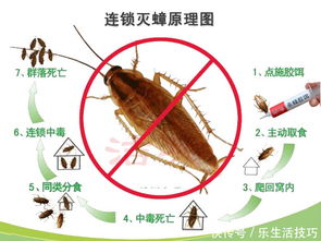 蟑螂的大小与死亡时间的关系