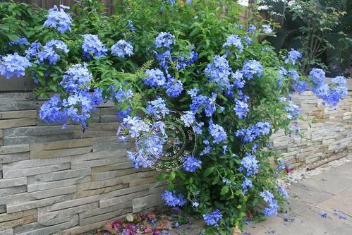 北京东五环住户的实测经验