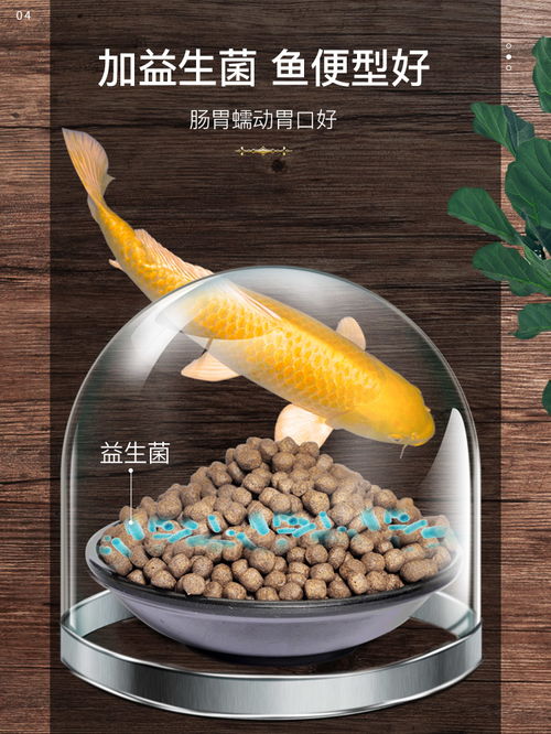 小型鱼性价比饲料，观赏鱼吃什么饲料最好，性价比高的观赏鱼饲料推荐有哪些？