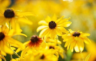 小编观点，三个原则要牢记