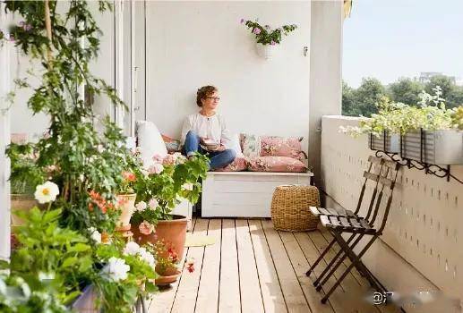 种花如修行：耐心与喜悦