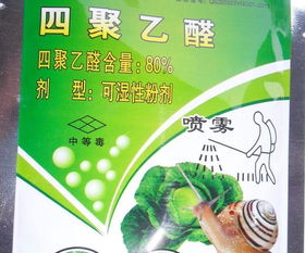 防治蜗牛，我们有办法