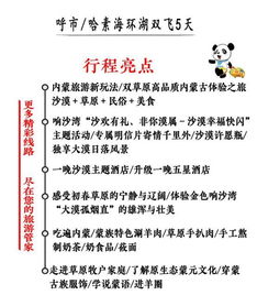 全流程避坑手册：阶段一：筹备期（15天）