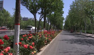 蕞佳观赏路线，我来告诉你