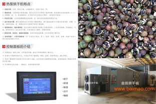 茶油籽收购热点：掌握最新三茶油价格动态！