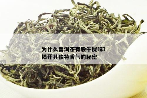黑茶制作工艺复杂，需经过杀青、揉捻、发酵、干燥等步骤
