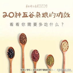 五谷杂粮有哪些？常见种类和功效都在这