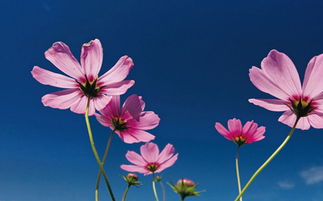 遇见未知， 只需一拍