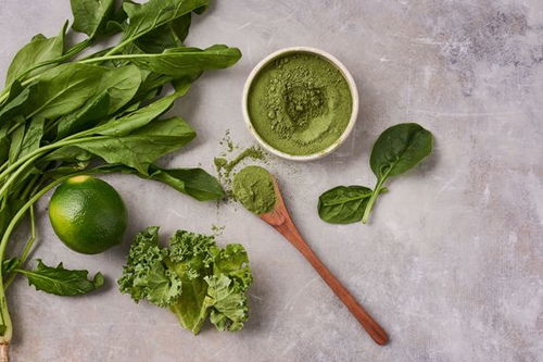 螺旋藻与三叶草的奇妙之旅